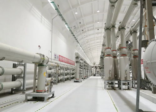 屢屢突破，走向世界——?？藗愃闺姎獾娜蛘鞒? />
</a>
<span><a href=