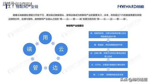 2019年中國物聯(lián)網(wǎng)技術(shù)服務(wù)行業(yè)市場研究報告 連接賦能，生態(tài)崛起