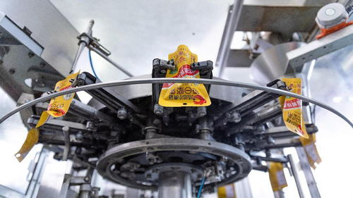 林下如何生 金 來自安徽的一線觀察