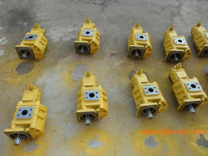 專業(yè)雙聯(lián)齒輪油泵選購(gòu)指南 廠家、型號(hào)、質(zhì)量與價(jià)格全解析